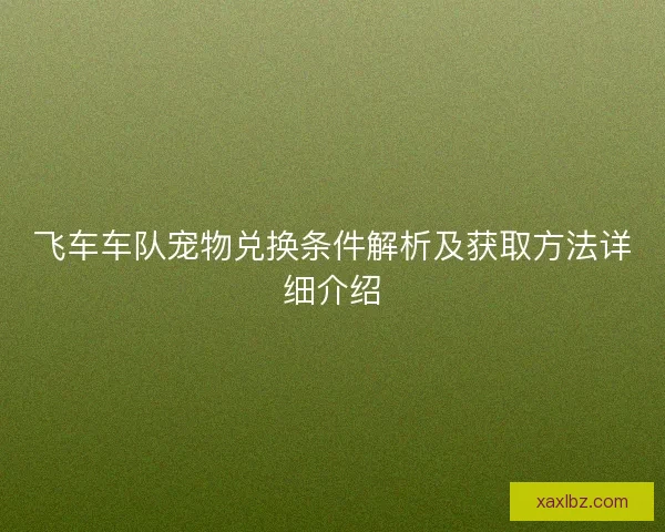 飞车车队宠物兑换条件解析及获取方法详细介绍