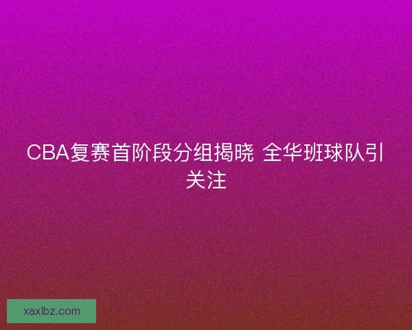 CBA复赛首阶段分组揭晓 全华班球队引关注 CBA复赛首阶段分组揭晓 全华班球队引关注