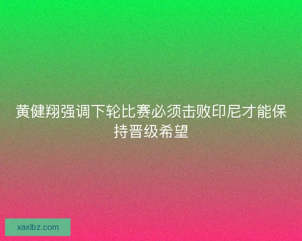 黄健翔强调下轮比赛必须击败印尼才能保持晋级希望 黄健翔强调下轮比赛必须击败印尼才能保持晋级希望